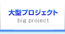 大型プロジェクト